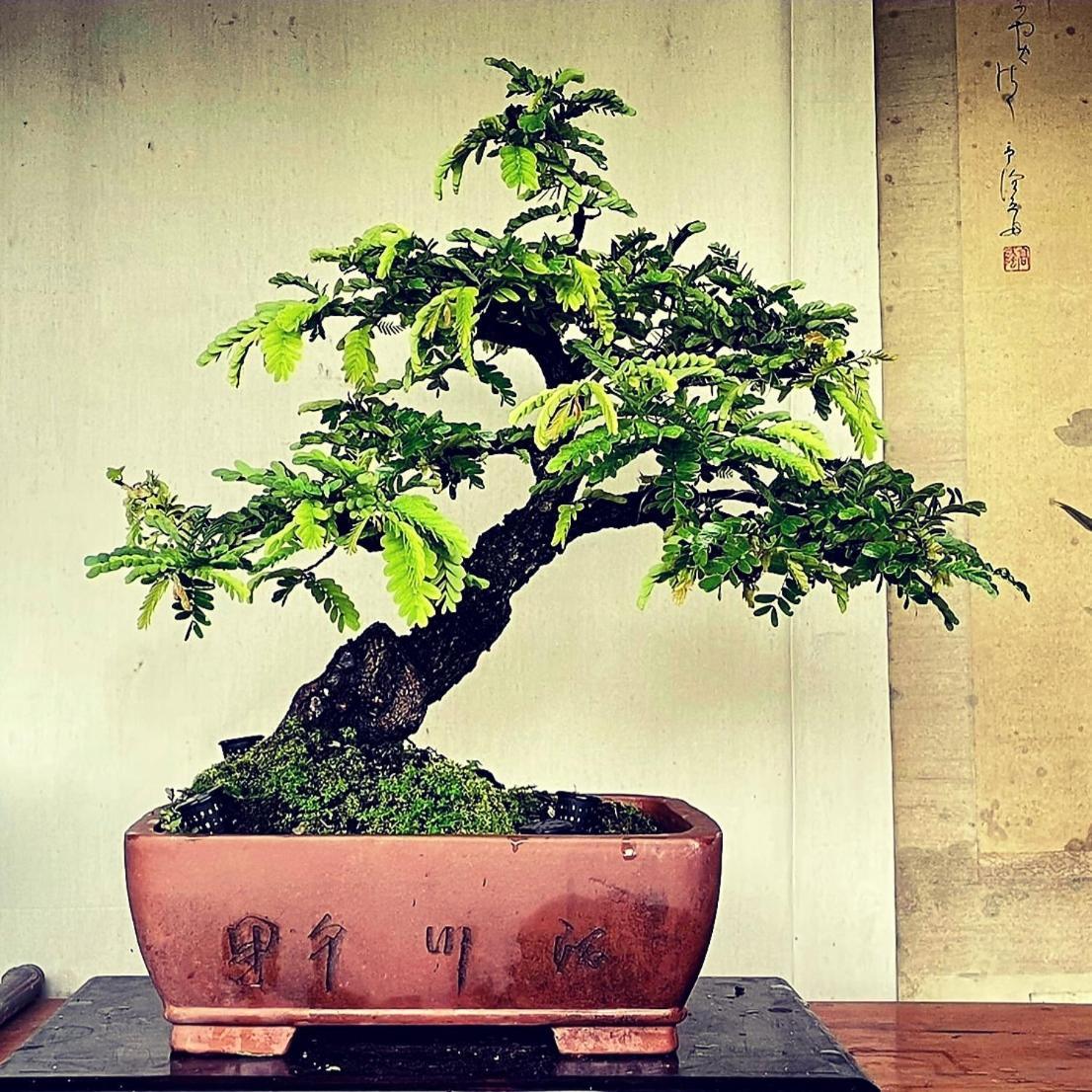 Ban Lo Long Ihoc - Phuket Oldtown酒店 外观 照片